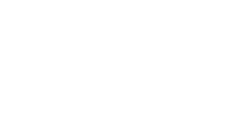 Dash Disposable