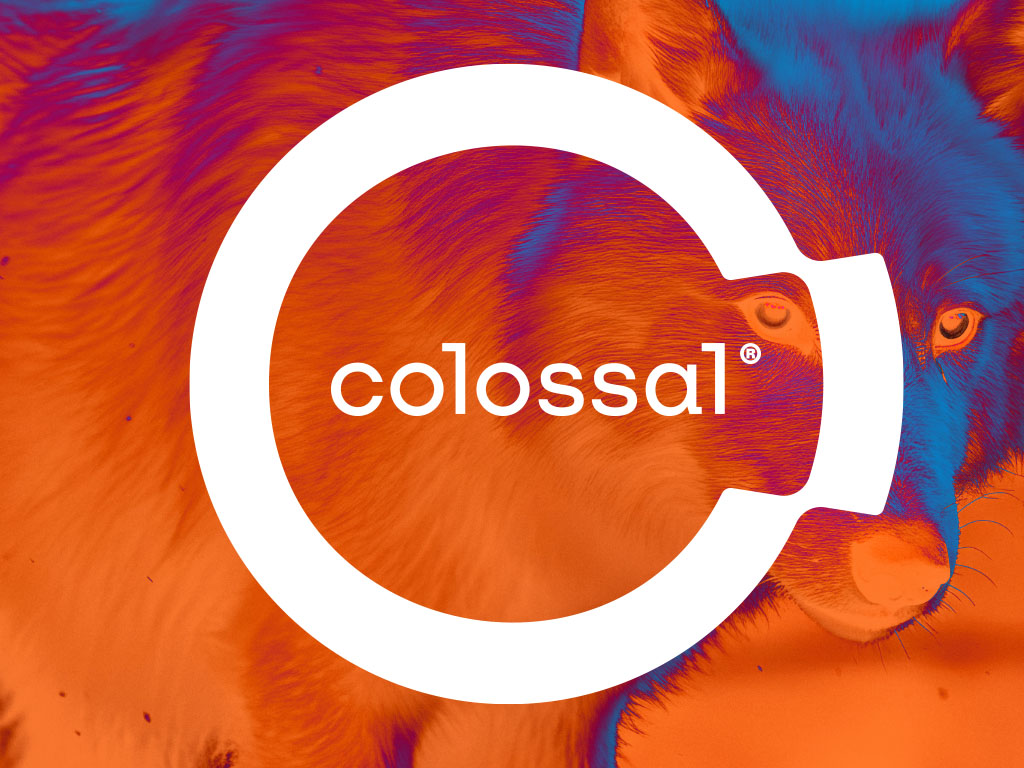 Colossal Experiential Event Design | Hall of State Dallas TX